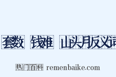 套数·钱难·山头月反义词是什么意思的图片